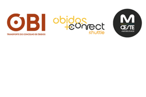 OBI - Transporte do Concelho