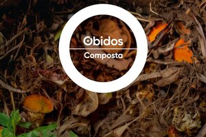 butao_obidos_composta